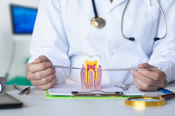 Best Emergency Dentist for Special Needs Patients in Huntgton, IN